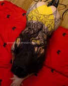 Анкета проститутки Кристина - метро Мещанский, возраст - 28